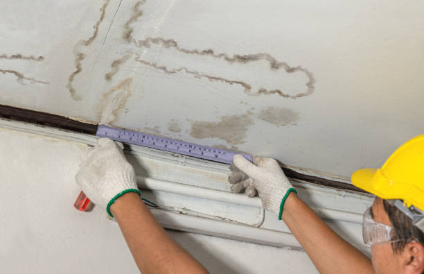 Reliable Mold Remediation contractor in Walled Lake, MI by Water Damage Irwin